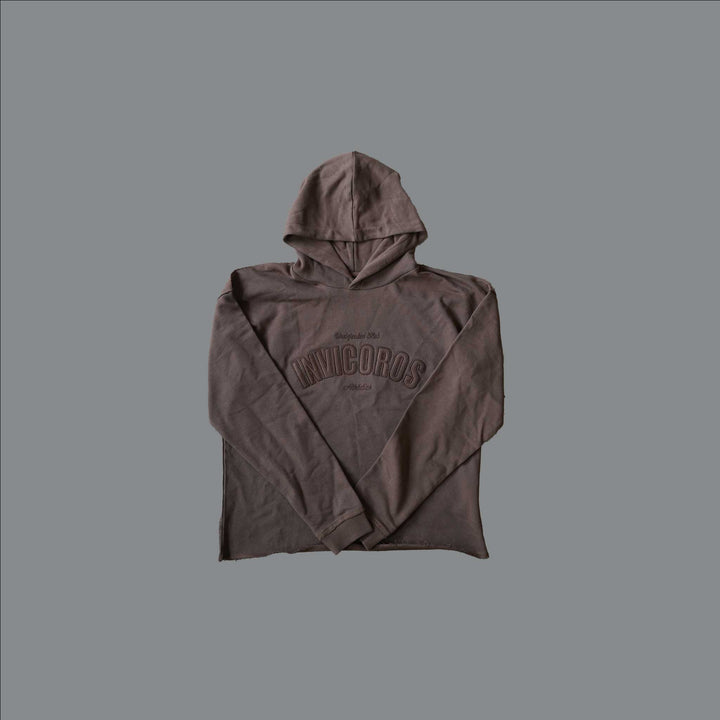 TIMEFADE HOODIE [BROWN]